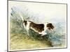 A Dog Watching a Rat in the Water - Dedham, Painted 1831-John Constable-Mounted Giclee Print