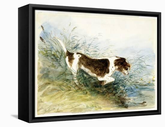 A Dog Watching a Rat in the Water - Dedham, Painted 1831-John Constable-Framed Stretched Canvas