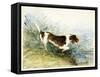 A Dog Watching a Rat in the Water - Dedham, Painted 1831-John Constable-Framed Stretched Canvas