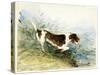 A Dog Watching a Rat in the Water - Dedham, Painted 1831-John Constable-Stretched Canvas