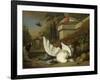 A Dog with a Dead Goose and Peacock (A Study of Game and Fruit)-Jan Weenix-Framed Art Print