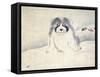 A Dog-null-Framed Stretched Canvas