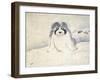 A Dog-null-Framed Giclee Print