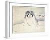 A Dog-null-Framed Giclee Print