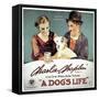 A Dogs Life, 1918-null-Framed Stretched Canvas