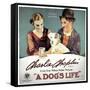 A Dogs Life, 1918-null-Framed Stretched Canvas