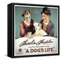 A Dogs Life, 1918-null-Framed Stretched Canvas