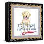 A Dogs Life I-Andi Metz-Framed Stretched Canvas