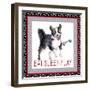 A Dogs Life III-Andi Metz-Framed Art Print