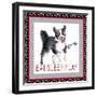 A Dogs Life III-Andi Metz-Framed Art Print