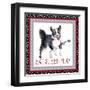 A Dogs Life III-Andi Metz-Framed Art Print