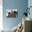 A Doll'S House (photo)-null-Photo displayed on a wall