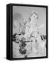 A Doll Sitting on a Wall-null-Framed Stretched Canvas