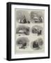 A Domestic Tragedy-S.t. Dadd-Framed Giclee Print