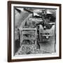 A Donkey and an Elephant-null-Framed Photographic Print