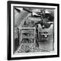 A Donkey and an Elephant-null-Framed Photographic Print