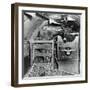 A Donkey and an Elephant-null-Framed Photographic Print