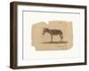 A Donkey, Barranquilla, Colombia-Frederic Edwin Church-Framed Premium Giclee Print