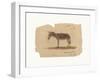 A Donkey, Barranquilla, Colombia-Frederic Edwin Church-Framed Premium Giclee Print