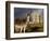 A Donkey Grazes in Front 17th Century Monea Castle, County Fermanagh, Ulster, Northern Ireland-Andrew Mcconnell-Framed Photographic Print