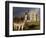 A Donkey Grazes in Front 17th Century Monea Castle, County Fermanagh, Ulster, Northern Ireland-Andrew Mcconnell-Framed Photographic Print