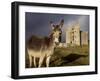 A Donkey Grazes in Front 17th Century Monea Castle, County Fermanagh, Ulster, Northern Ireland-Andrew Mcconnell-Framed Photographic Print