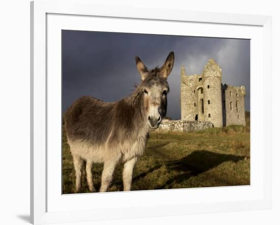 A Donkey Grazes in Front 17th Century Monea Castle, County Fermanagh, Ulster, Northern Ireland-Andrew Mcconnell-Framed Photographic Print