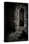 A Door in Time-Doug Chinnery-Stretched Canvas