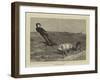 A Double Entendre-Samuel Edmund Waller-Framed Giclee Print