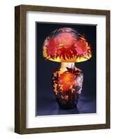 A Double Overlaid and Etched Glass Table Lamp-Emile Galle-Framed Giclee Print