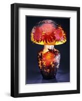 A Double Overlaid and Etched Glass Table Lamp-Emile Galle-Framed Giclee Print