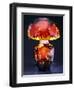 A Double Overlaid and Etched Glass Table Lamp-Emile Galle-Framed Giclee Print