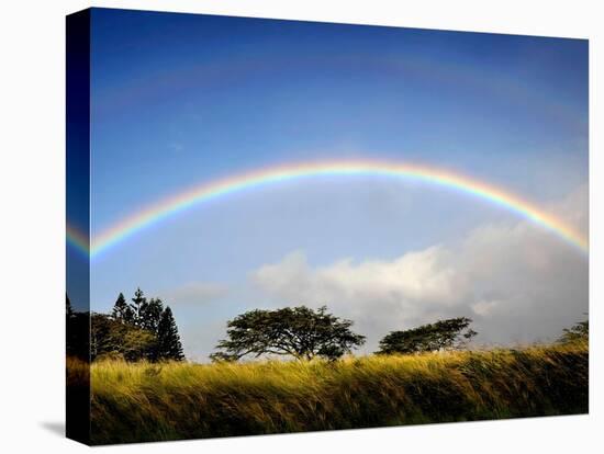 A Double Rainbow Above Countryside-Jody Miller-Stretched Canvas