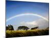 A Double Rainbow Above Countryside-Jody Miller-Mounted Photographic Print