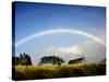 A Double Rainbow Above Countryside-Jody Miller-Stretched Canvas