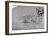 'A Dragon', c1480 (1945)-Leonardo Da Vinci-Framed Giclee Print