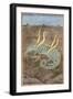 A Dragon Devouring a Woman-null-Framed Giclee Print