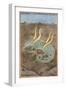 A Dragon Devouring a Woman-null-Framed Giclee Print