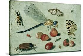 A Dragon-Fly, Two Moths, a Spider and Some Beetles, with Wild Strawberries, 17th Century-Jan Van, The Elder Kessel-Stretched Canvas