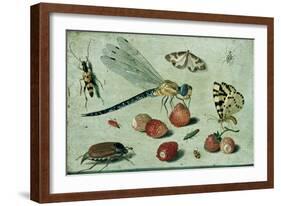 A Dragon-Fly, Two Moths, a Spider and Some Beetles, with Wild Strawberries, 17th Century-Jan Van, The Elder Kessel-Framed Giclee Print