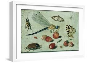 A Dragon-Fly, Two Moths, a Spider and Some Beetles, with Wild Strawberries, 17th Century-Jan Van, The Elder Kessel-Framed Giclee Print