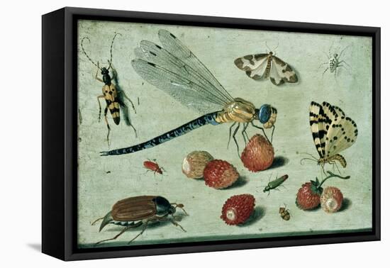 A Dragon-Fly, Two Moths, a Spider and Some Beetles, with Wild Strawberries, 17th Century-Jan Van, The Elder Kessel-Framed Stretched Canvas