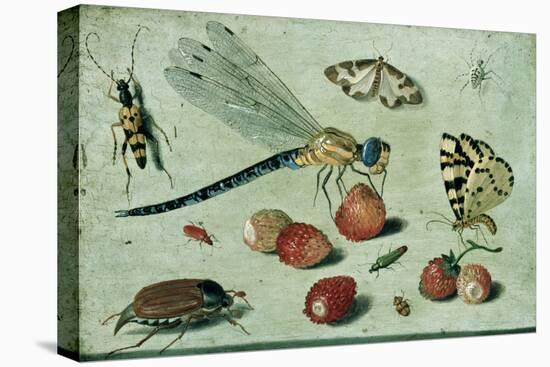 A Dragon-Fly, Two Moths, a Spider and Some Beetles, with Wild Strawberries, 17th Century-Jan Van, The Elder Kessel-Stretched Canvas