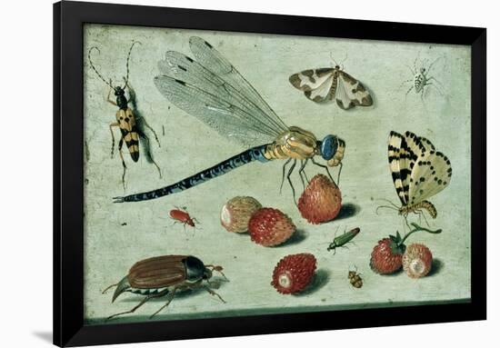 A Dragon-Fly, Two Moths, a Spider and Some Beetles, with Wild Strawberries, 17th Century-Jan Van, The Elder Kessel-Framed Giclee Print