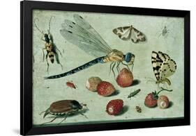 A Dragon-Fly, Two Moths, a Spider and Some Beetles, with Wild Strawberries, 17th Century-Jan Van, The Elder Kessel-Framed Giclee Print