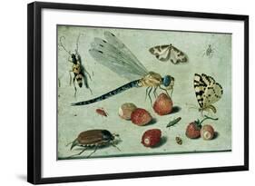 A Dragon-Fly, Two Moths, a Spider and Some Beetles, with Wild Strawberries, 17th Century-Jan Van, The Elder Kessel-Framed Giclee Print