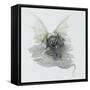 A Dragon That Is Cloudlike, 1979-Wayne Anderson-Framed Stretched Canvas