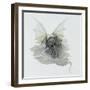 A Dragon That Is Cloudlike, 1979-Wayne Anderson-Framed Giclee Print