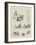 A Drama of the Dog Days-null-Framed Giclee Print