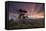 A Dramatic and Colorful Sunset over Sao Francisco Xavier's Farmland-Alex Saberi-Framed Stretched Canvas